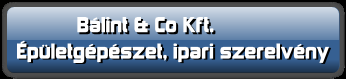 Bálint & Co Kft.